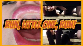 Run, Little One, Run!