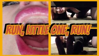 Run, Little One, Run! WMV