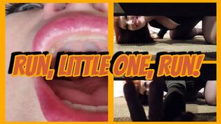 Run, Little One, Run! SD