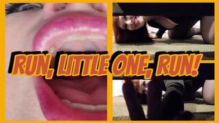 Run, Little One, Run! SD WMV