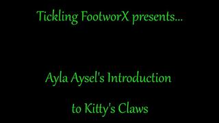 Ayla Aysels Introduction to Kittys Claws