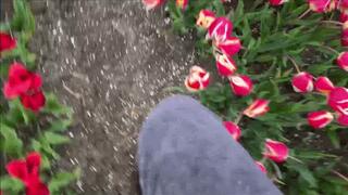 Dr Martens Jadon Boots destroy flowers stomp, crush, walk in tulip field
