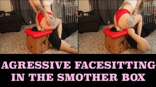 Princess Natalie - Aggressive Facesitting In The Smother Box - {HD 1080p}