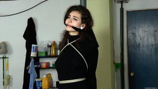 Unsuccessful Thief (M4V 4K) - Ramona Vixen