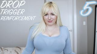 DROP Trigger Reinforcement 5