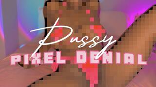 PUSSY PIXEL DENIAL