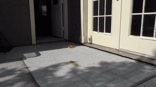 Don't forget the sauce