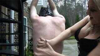 Strung Up And Shredded (720p)