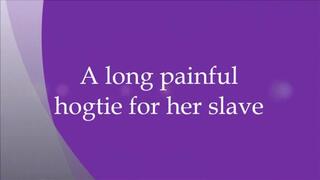 Slave hogtied by Lorna