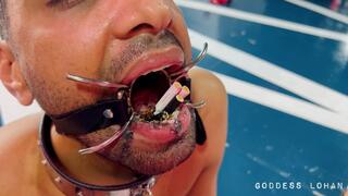 CUCKOLD HUMAN ASHTRAY