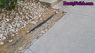 Shoeplay spying on Latinas long legs and cute white socks in public 720p