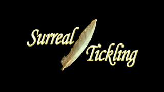 Testing The Stocks (Full Body) Part 2