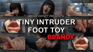 Tiny Intruder Foot Toy