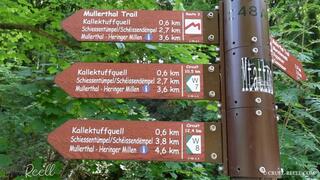 REELL - SIGHTSEEING A? LA REELL - THE MULLERTHAL TRAIL COMPILATION