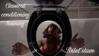 Toilet slave Classical conditioning training