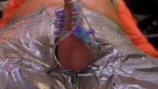 Mistress TIRZA make this CBT with piercings to show you can make Art out of Dick CBT