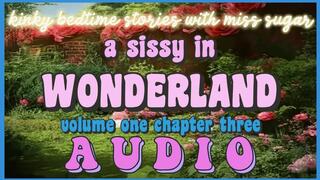 A Sissy in Wonderland, Chapter Three