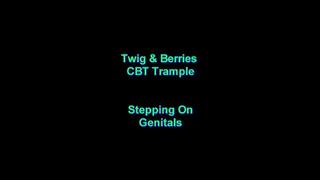 Stepping On Genitals