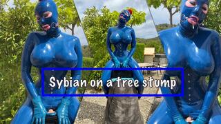 Sybian on a tree stump
