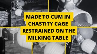 Made to cum in chastity cage restrained on the milking table