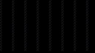 The Wizard's Friend, Part 1 (WMV Format)