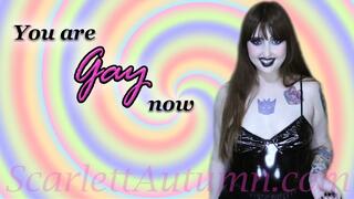 You are Gay now - WMV SD 480p