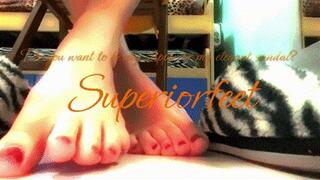 Do you want to be my slipper or my elegant sandal?