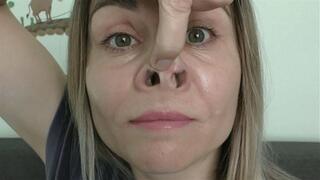 Piggy nose video MP4 HD 720p