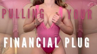 Pulling your Financial Plug