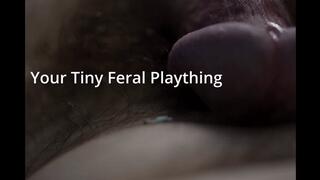 Giantess Cassie - Your Tiny Feral Plaything (Augmented Reality Audio)