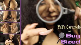 Bug Sized Featuring YaYa Caramelo