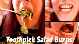 Toothpick Salad Burps - Picking Spinach And Seasonings Out Of Teeth And Belching Along The Way!