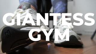 The Giantess Gym