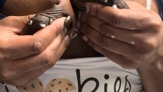 Milking, Sucking, Squeezing, and Bouncing My Titties