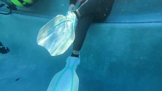 POV Dive Buddy 9 "Bold New Diver, Surtzy"