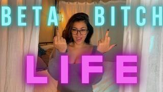 Beta Bitch Life 1080p mp4