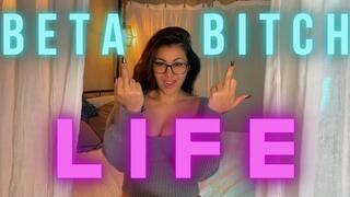 Beta Bitch Life 480p mov
