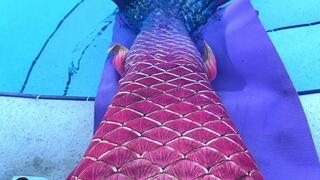 Carissa in her new mermaid tail