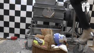 Remains for the shredder