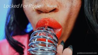 Locked Forever- Ebony Femdom Goddess Rosie Reed Chastity Tease And Denial Submissive Provider Chastity- 1080p HD