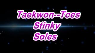 Taekwon-Toes Afterwork Soles
