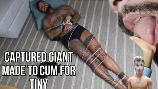 Captured giant made to cum for tiny - Lalo Cortez