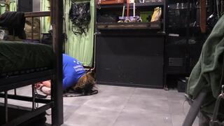 full movie sissy slut puppy used as pony to ride and play with