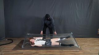 Ultra thin and see through vacuum bed with schoolgirl and rollovers