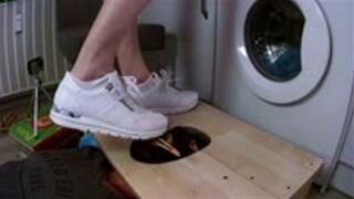 Human tongue shoe shine machine 1 cam2 HDMP4