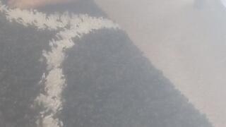 Watching Those Big Round Heels (Nov 2023)