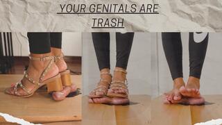 BREAKING IN THE COCKBOX - Mistress Enola - Ballbusting - Stomping 4K