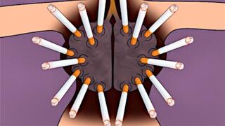 Lesbian Cigarette Sex with Smoking Girls Fucking a Cigarette: A Dark Side Smoking Fetish Fantasy