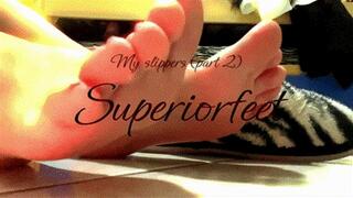 My slippers (part 2)