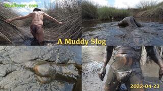 A Muddy Slog, 2022-04-23